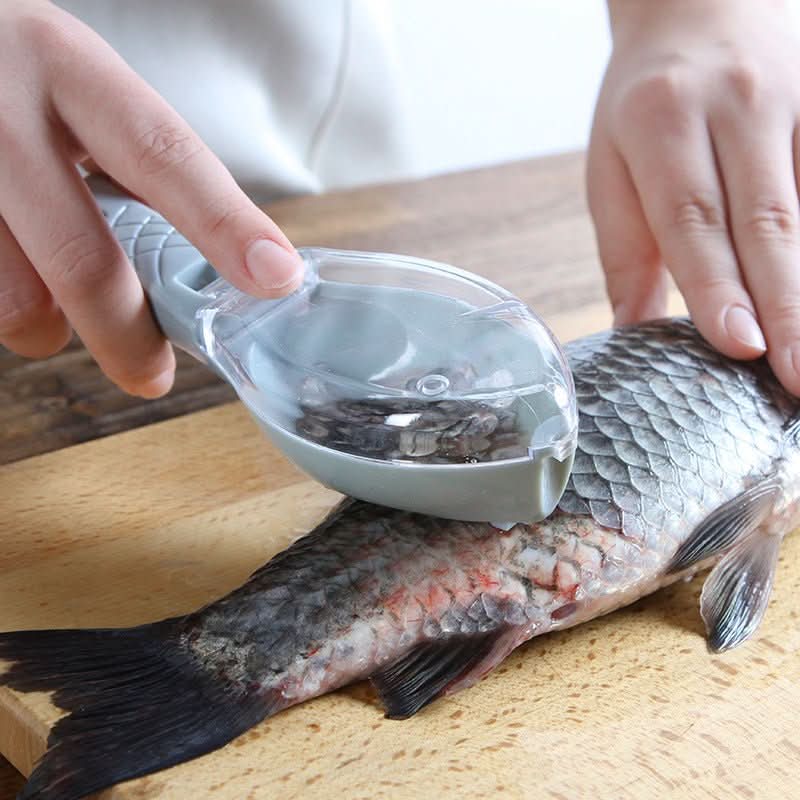 Fish Scale Scraper with Cover – Fish Skin Cleaning Tool Kitchen Scaler Brush Kitchen Utensils & Gadgets - Duly Kitchen